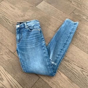 Hudson Los Angeles Skinny Jeans